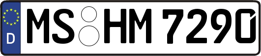 MS-HM7290