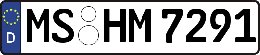 MS-HM7291