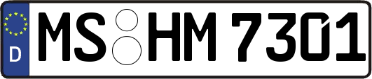 MS-HM7301