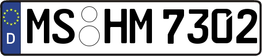 MS-HM7302
