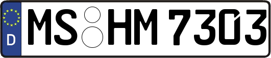 MS-HM7303