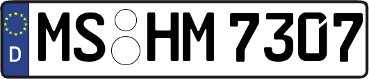 MS-HM7307