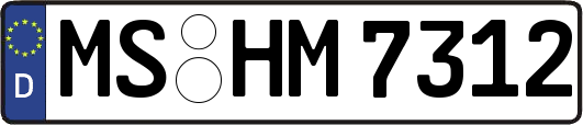 MS-HM7312