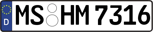 MS-HM7316