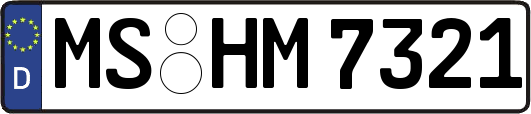 MS-HM7321