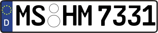MS-HM7331