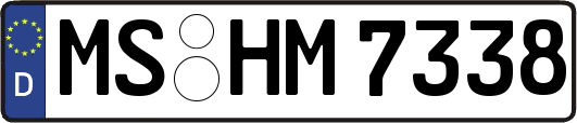 MS-HM7338