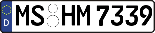 MS-HM7339