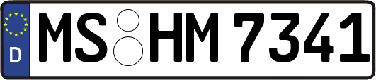 MS-HM7341