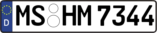 MS-HM7344