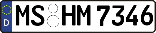MS-HM7346