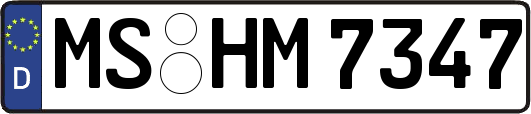 MS-HM7347