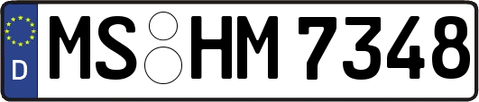 MS-HM7348