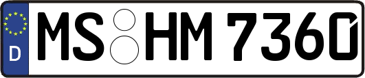 MS-HM7360