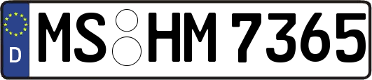MS-HM7365