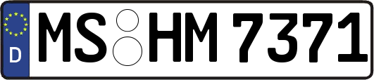 MS-HM7371