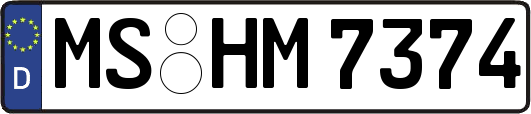 MS-HM7374