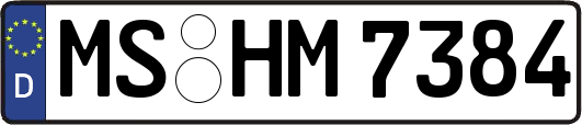 MS-HM7384