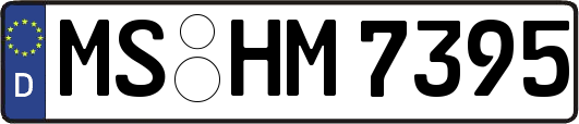 MS-HM7395