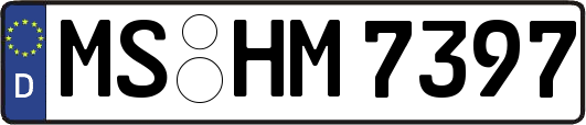 MS-HM7397