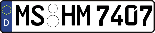 MS-HM7407