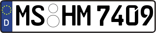 MS-HM7409