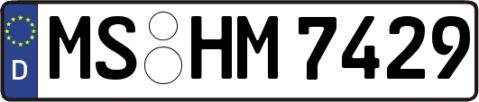 MS-HM7429