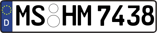 MS-HM7438