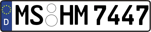 MS-HM7447