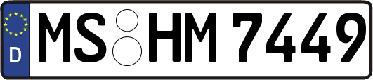 MS-HM7449