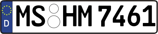 MS-HM7461