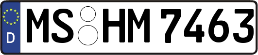 MS-HM7463