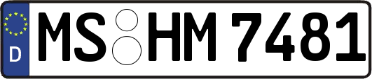 MS-HM7481