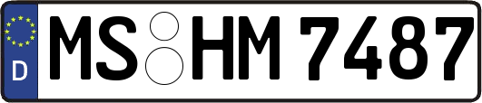 MS-HM7487