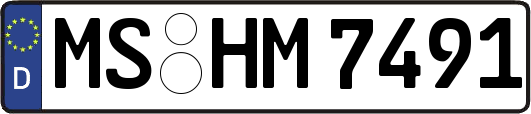 MS-HM7491