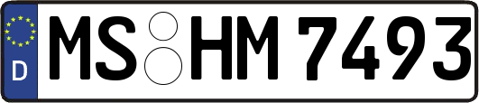 MS-HM7493