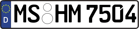 MS-HM7504