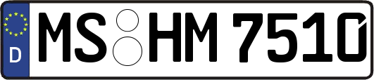 MS-HM7510