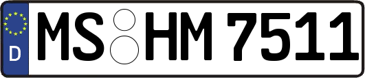 MS-HM7511