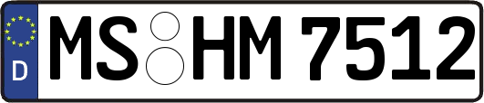 MS-HM7512