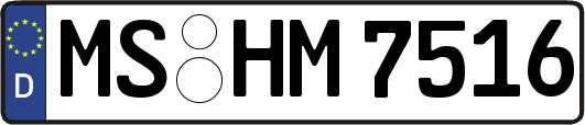 MS-HM7516