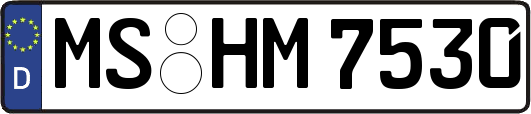 MS-HM7530