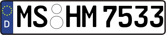 MS-HM7533