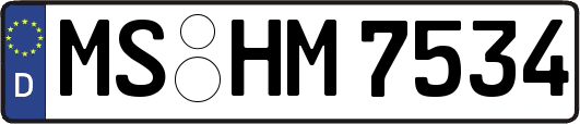 MS-HM7534