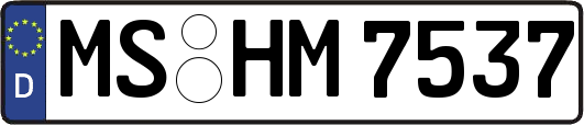MS-HM7537