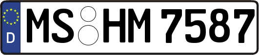 MS-HM7587