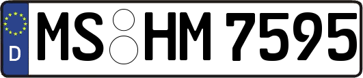 MS-HM7595