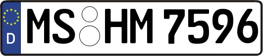 MS-HM7596