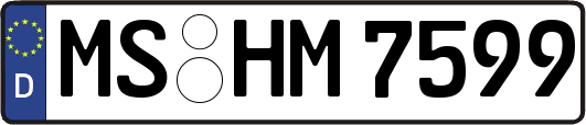 MS-HM7599