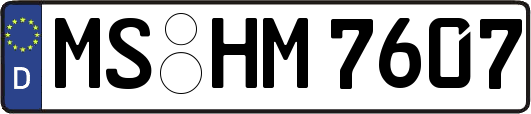 MS-HM7607
